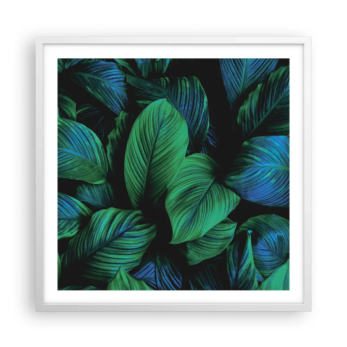 Poster in einem weißen Rahmen - In der grünen Menge - 60x60 cm