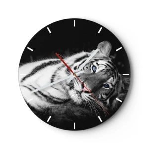 Wanduhr - Glasuhr - Ein weißer Tiger mit intensiv blauen Augen - 30x30cm - Wildnis und Frieden - Moderne Wanddekoration für Wohnzimmer, Küche und Schlafzimmer ARTTOR