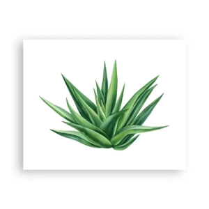 Poster - Grün – Kraft – Leben - 50x40 cm