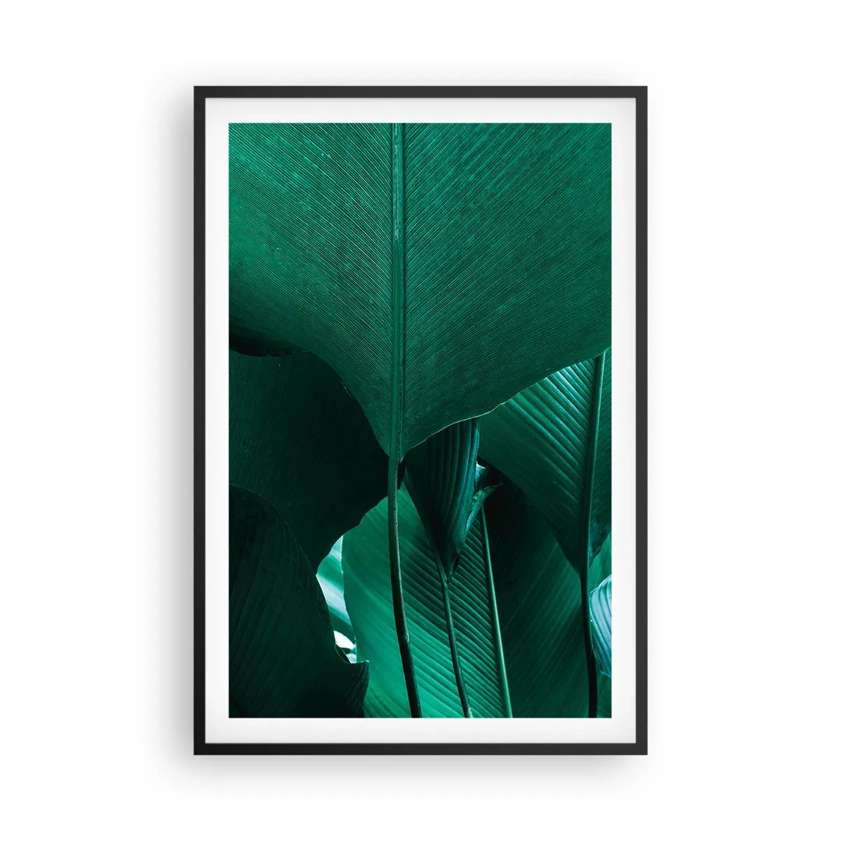 Poster in einem schwarzem Rahmen - Dem Licht zugewandt - 61x91 cm