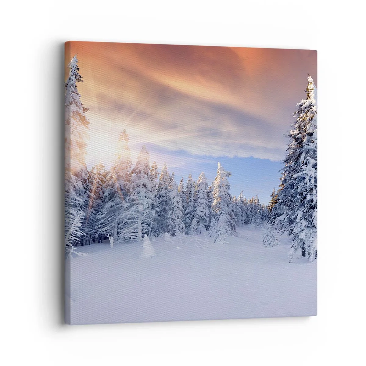 Bild auf Leinwand - Leinwandbild - Ein verschneites Naturschauspiel - 30x30 cm