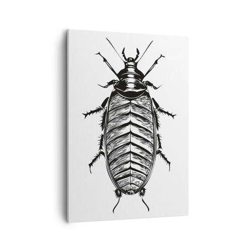 Bild auf Leinwand - Leinwandbild - Grafik eines schwarz-weißen Insekts auf weißem Hintergrund - 50x70cm - Was für ein Exemplar! - Moderne Wanddekoration für Wohnzimmer und Schlafzimmer ARTTOR