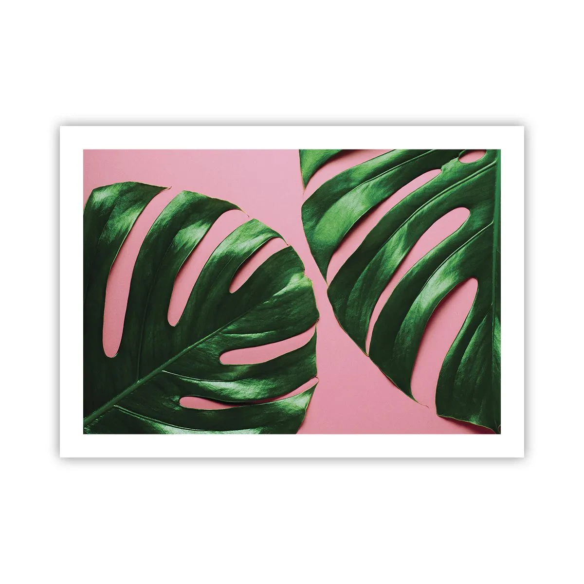 Poster - Rendezvous im Grünen - 70x50 cm
