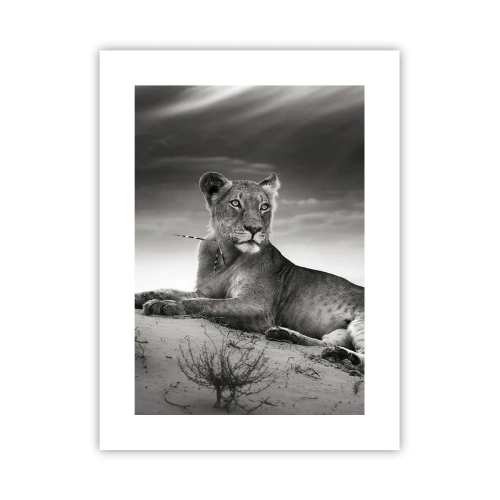 Poster - Die Königin der Wüstenruhe - 30x40 cm