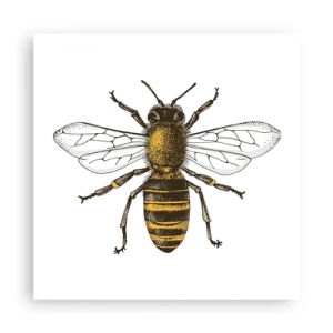 Poster - Schön und gut - 50x50 cm