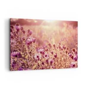 Bild auf Leinwand - Leinwandbild - Wiese im Licht der untergehenden Sonne - 120x80cm - Bevor der Sommer vorbei ist - Moderne Wanddekoration für Wohnzimmer und Schlafzimmer ARTTOR