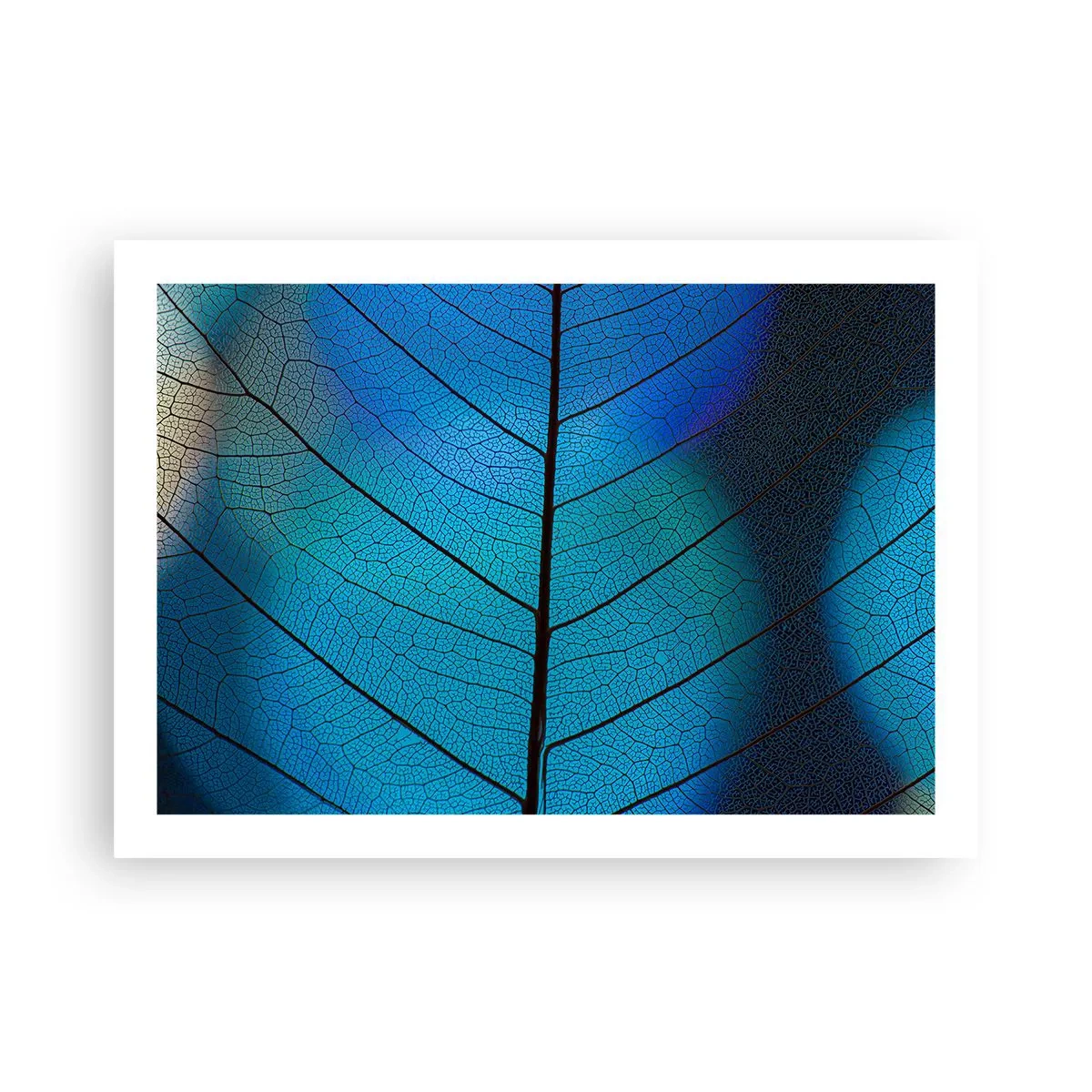 Poster - Komplizierte Konstruktion - 70x50 cm