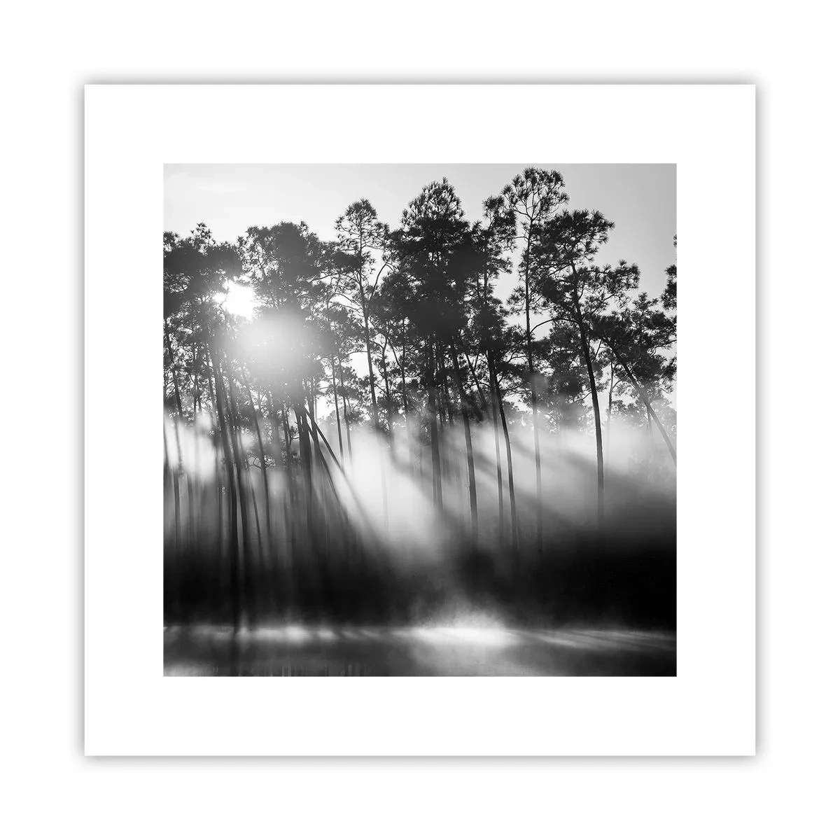 Poster - Unaufhaltsame Sonne - 30x30 cm