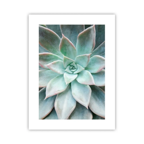 Poster - Das Herz der Wüste - 30x40 cm