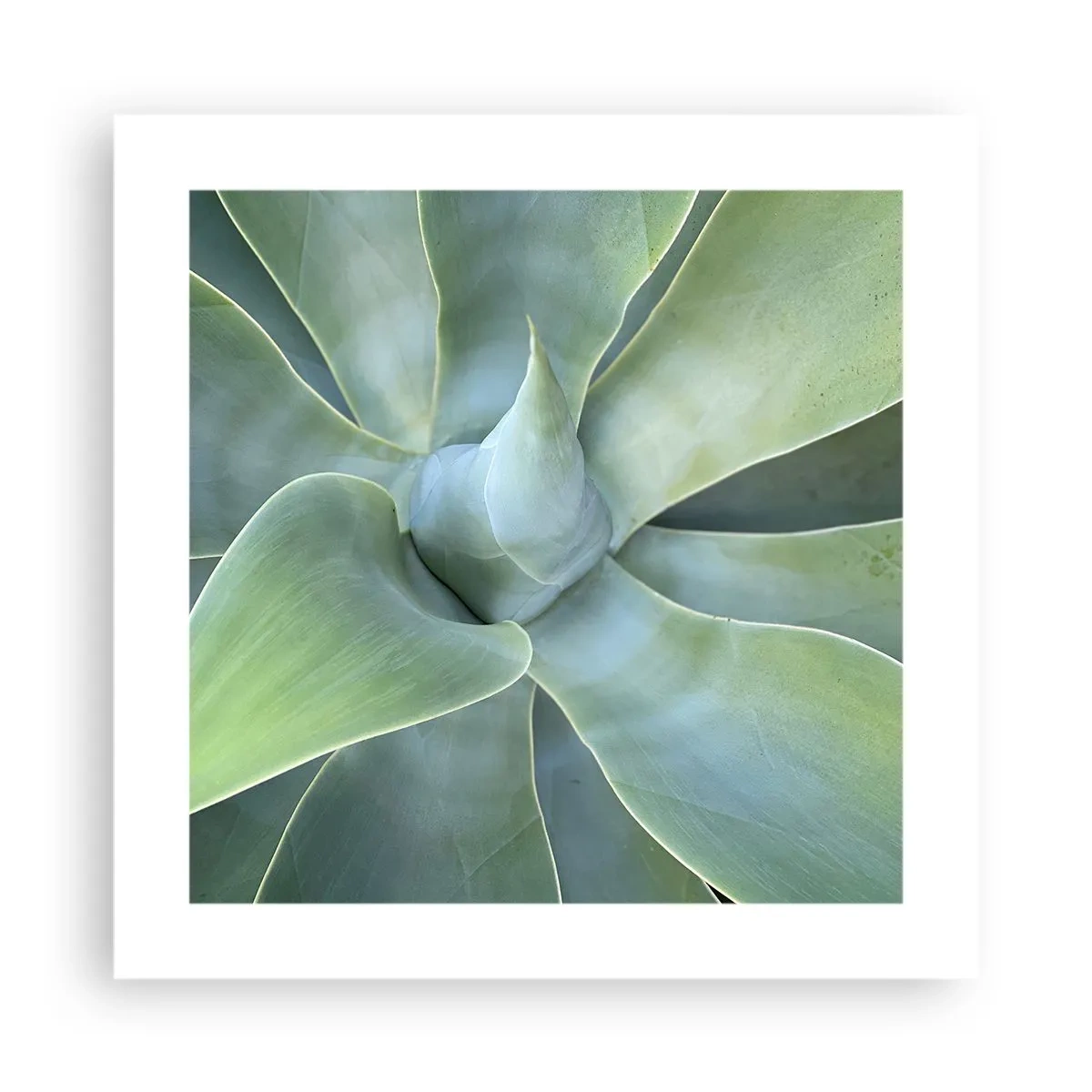 Poster - Geburt des Grüns - 40x40 cm