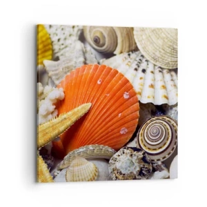 Bild auf Leinwand - Leinwandbild - Schätze des Ozeans - 70x70 cm