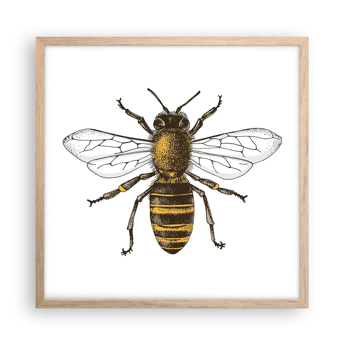 Poster in einem Rahmen aus heller Eiche - Schön und gut - 50x50 cm