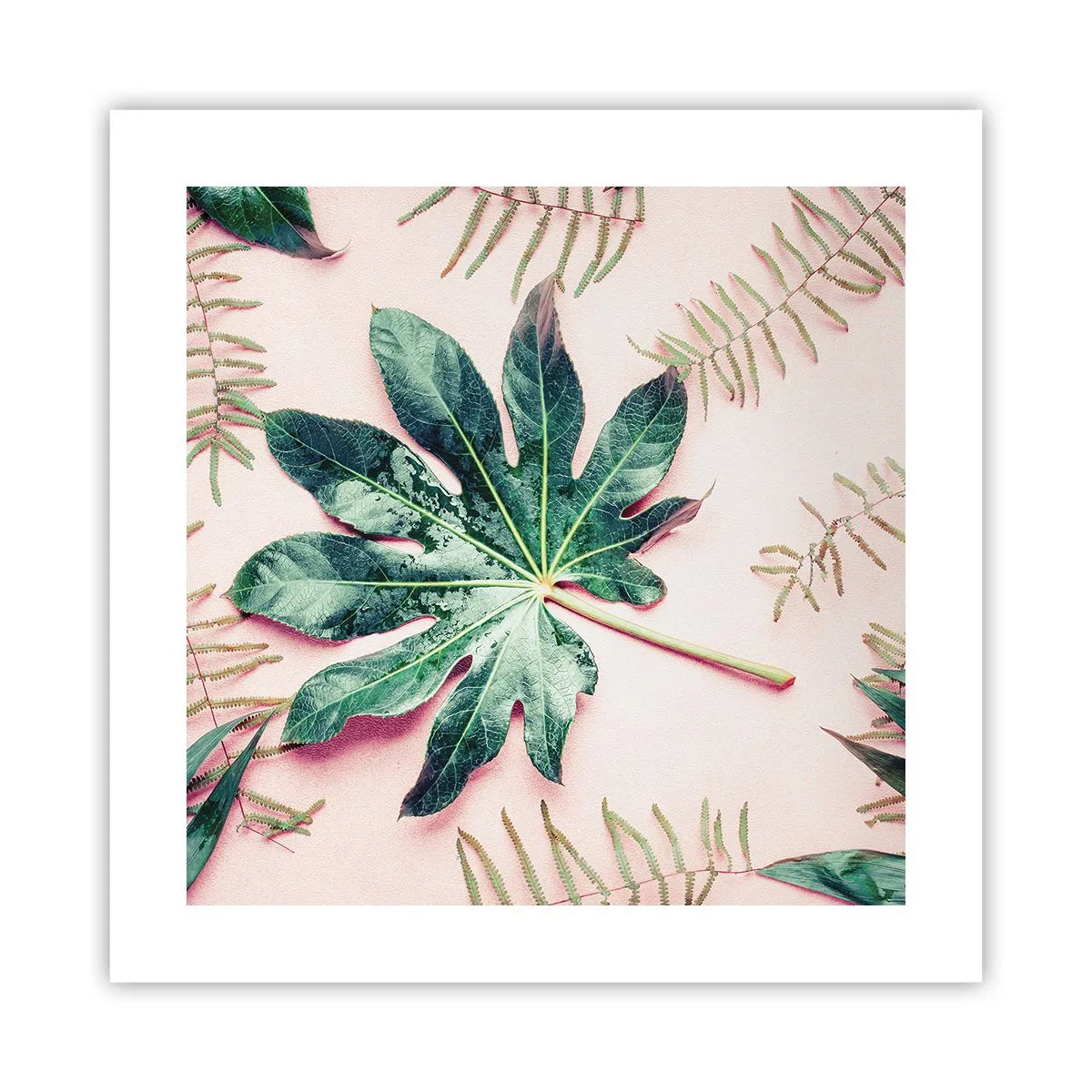 Poster - Eine Studie von Grün auf einem rosa Hintergrund - 40x40 cm