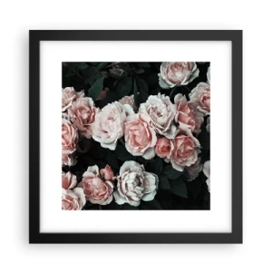 Poster in einem schwarzem Rahmen - Rosen-Ensemble - 30x30 cm