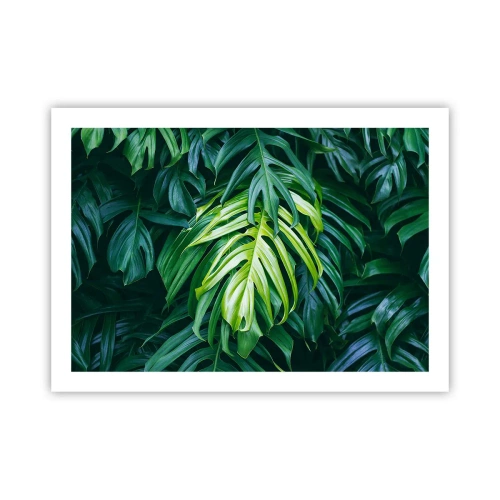 Poster - Tauchen Sie ein in die Frische - 70x50 cm