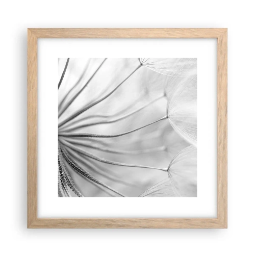 Poster in einem Rahmen aus heller Eiche - Löwenzahn, Drachen - 30x30 cm