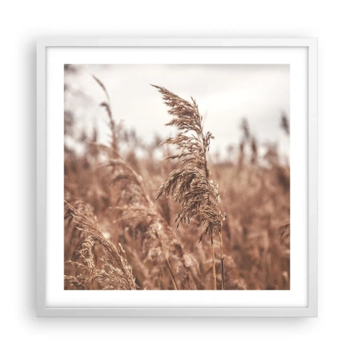 Poster in einem weißen Rahmen - Auf den Feldern ist es schon Herbst - 50x50 cm