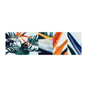 Fototapeten Muster Selbstklebend Deluxe Sticker - Vogelbusch - Pflanzen, Boho, Exotisch - 100x30 cm