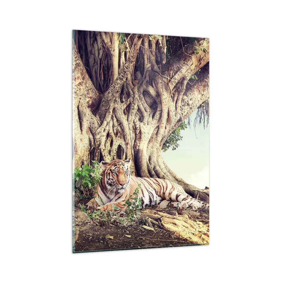 Glasbild - Bild auf glas - Ein Tiger ruht unter einem ausladenden Baum - 80x120cm - Blick aus dem Buch Genesis - Moderne Wanddekoration für Wohnzimmer und Schlafzimmer ARTTOR