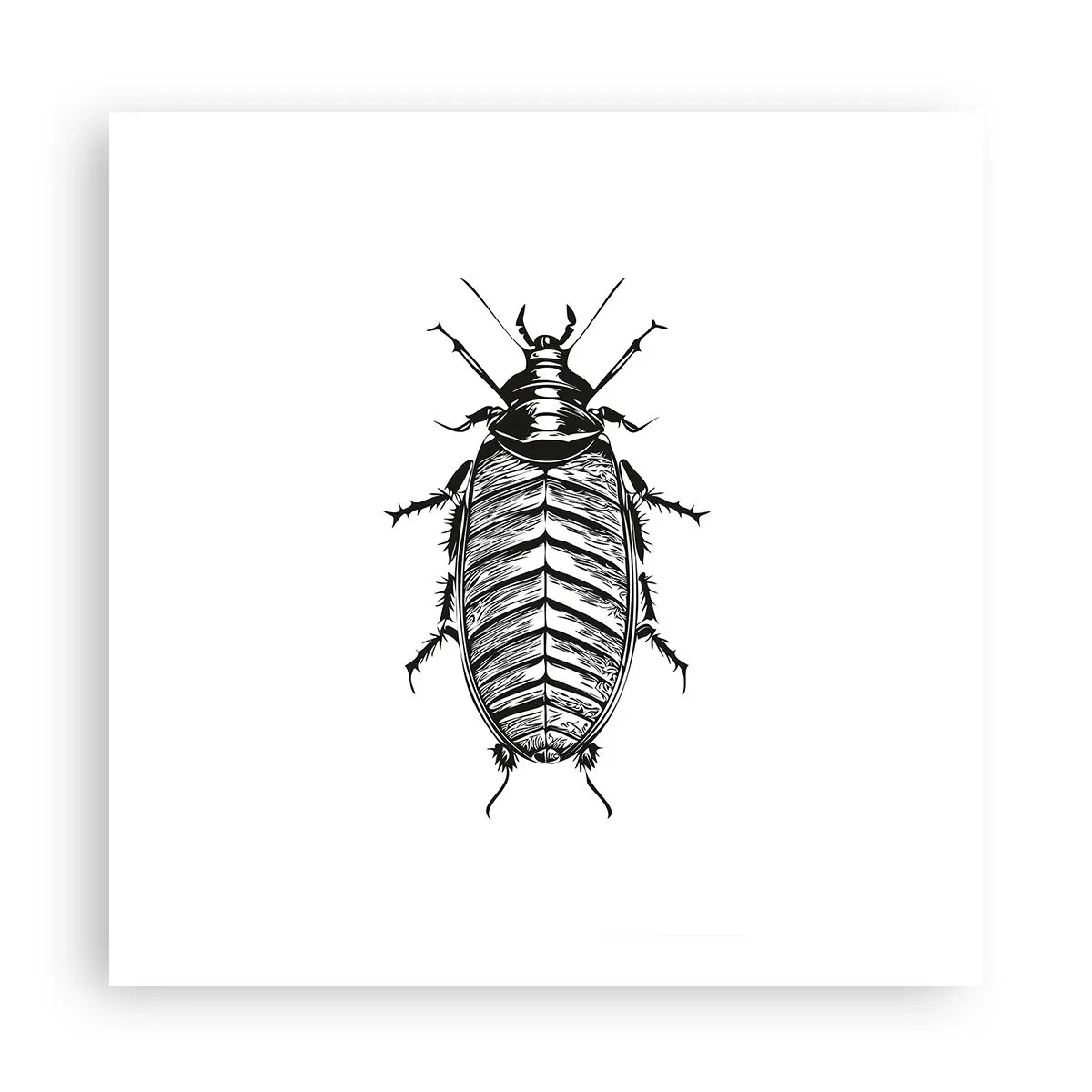 Poster - Was für ein Exemplar! - 60x60 cm