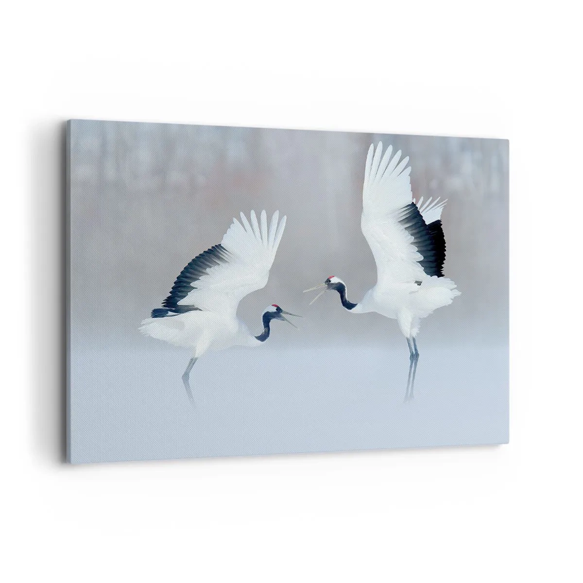 Bild auf Leinwand - Leinwandbild - Zwei Kraniche tanzen in einer nebligen Landschaft - 100x70cm - Tanz im Nebel - Moderne Wanddekoration für Wohnzimmer und Schlafzimmer ARTTOR