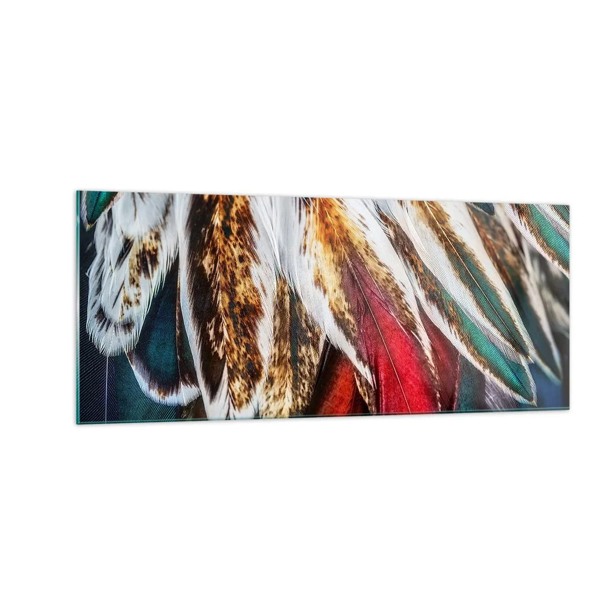 Glasbild - Bild auf glas - Geheimnisse des Fliegens - 100x40 cm