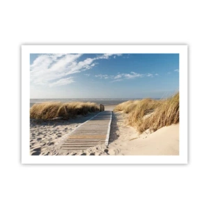 Poster - Hinter der Düne, im Rauschen des Grases - 70x50 cm