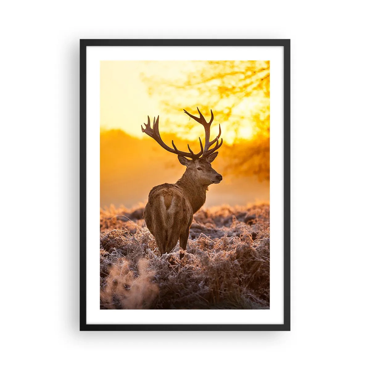 Poster in einem schwarzem Rahmen - Ein Hirsch vor dem Hintergrund eines goldenen Sonnenaufgangs - 50x70cm - König des Herbstwaldes - Moderne Wanddekoration für Wohnzimmer und Schlafzimmer ARTTOR
