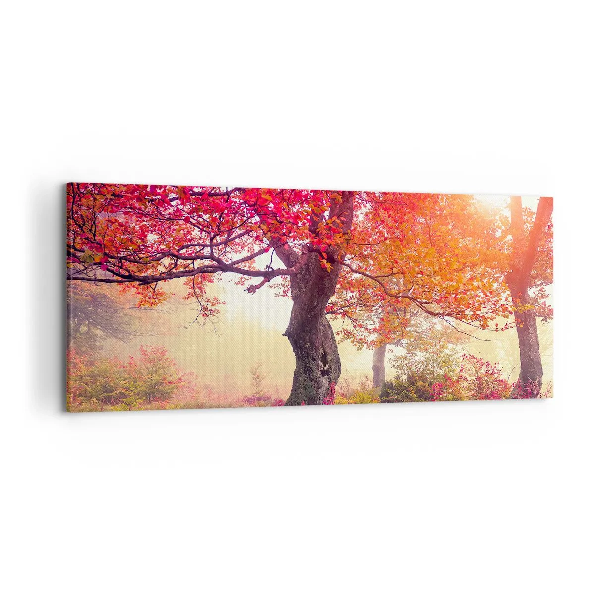 Bild auf Leinwand - Leinwandbild - Herbstlandschaft mit Bäumen in intensiven Farben - 120x50cm - Blühende Raserei - Moderne Wanddekoration für Wohnzimmer und Schlafzimmer ARTTOR