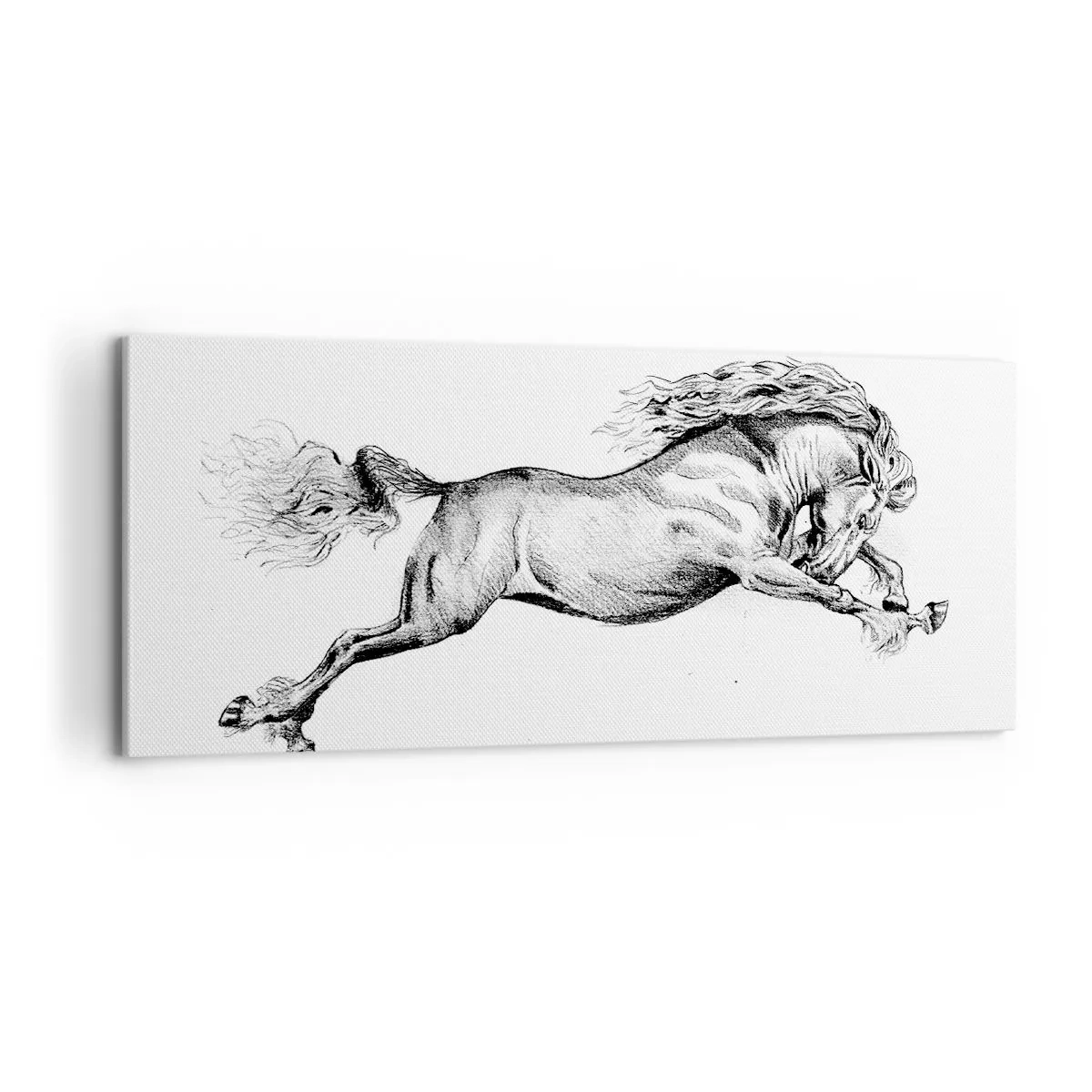 Bild auf Leinwand - Leinwandbild - Im Galopp festgehalten - 100x40 cm