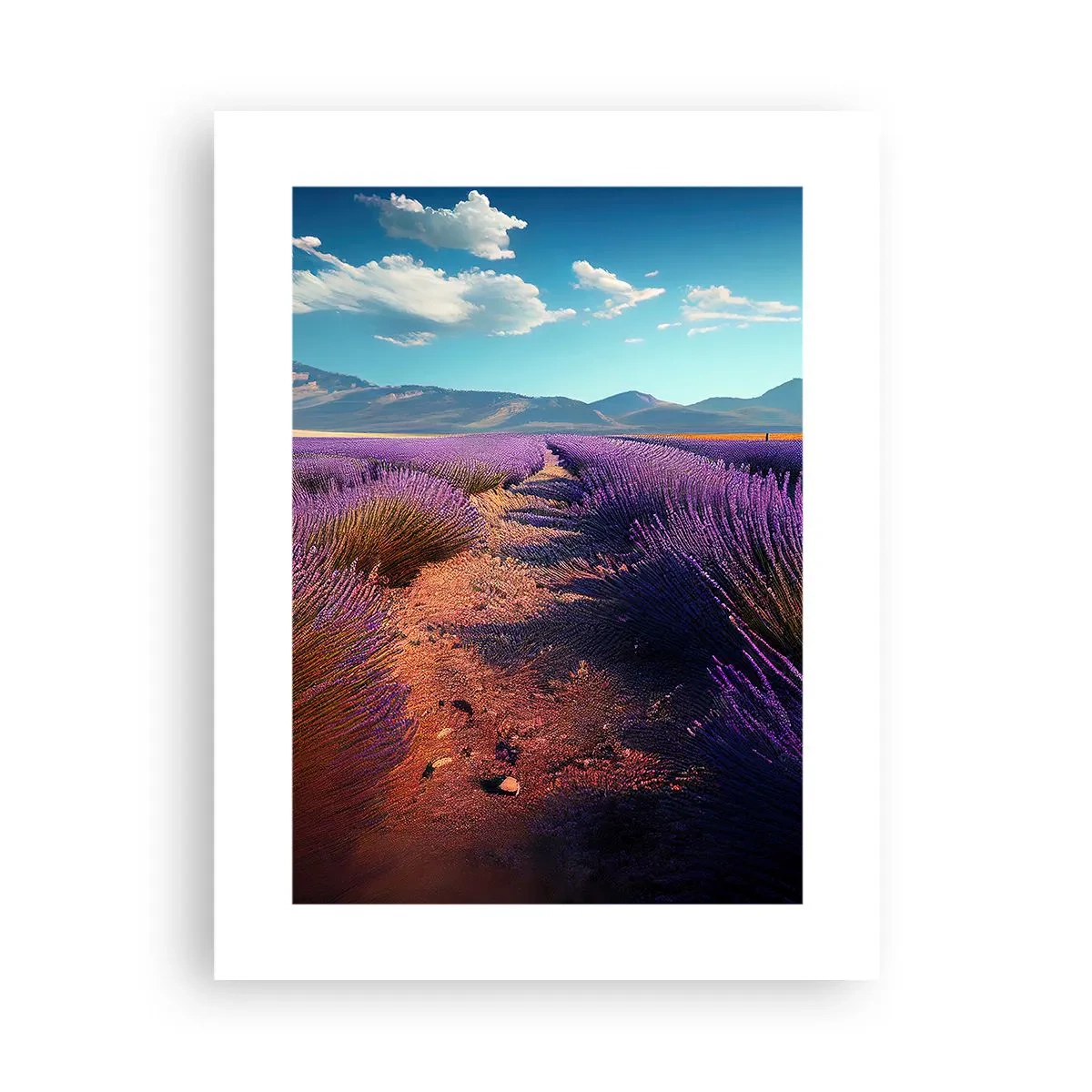 Poster - Duftende Felder - 30x40 cm