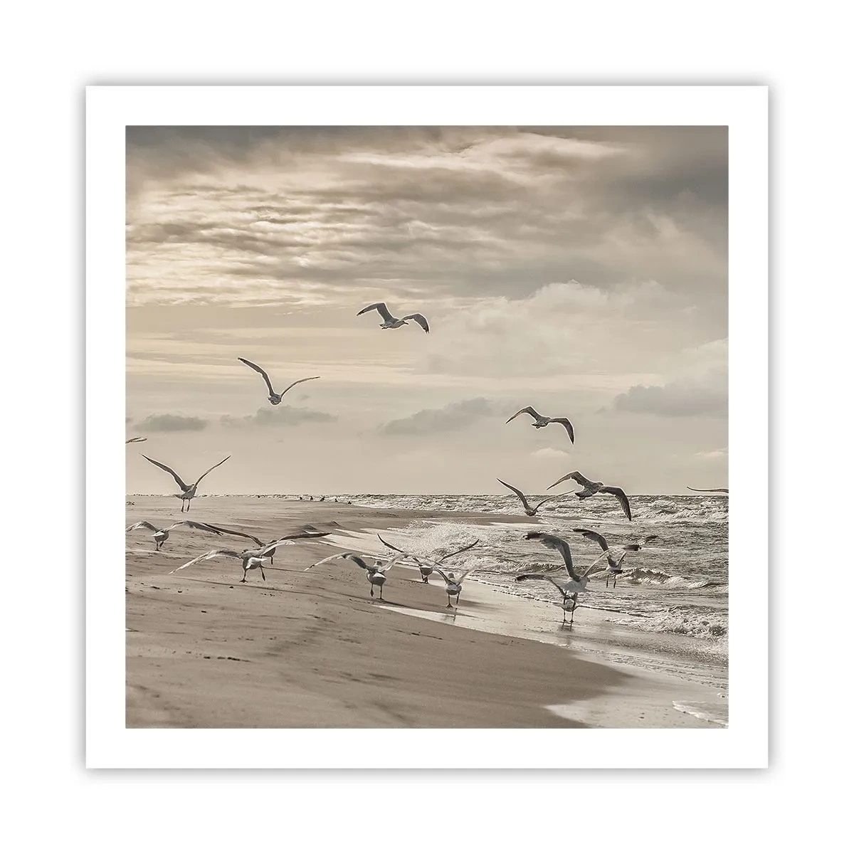 Poster - Meeresrauschen, Vogelgesang - 60x60 cm