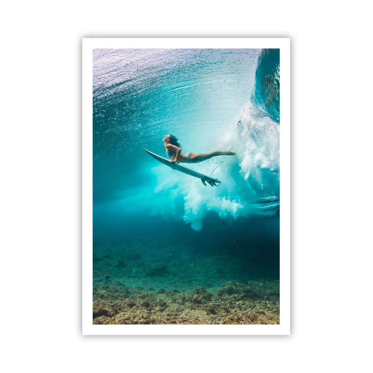 Poster - Unterwasserwelt - 70x100 cm