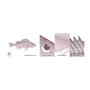 Fototapeten Muster Selbstklebend Deluxe Sticker - Großäugiger Fisch - Fisch, Unterwasser, Minimalistisch - 100x30 cm