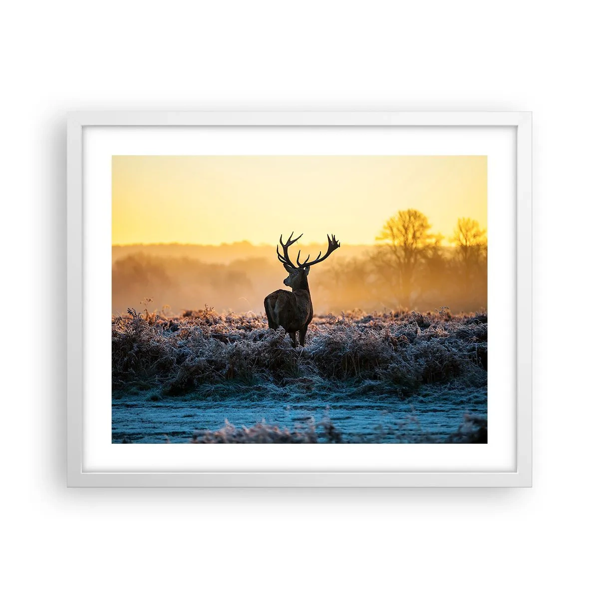 Poster in einem weißen Rahmen - Gekrönt auf seinem Besitz - 50x40 cm