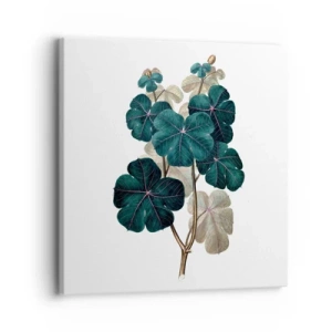 Bild auf Leinwand - Leinwandbild - Aus dem alten Herbarium - 30x30 cm