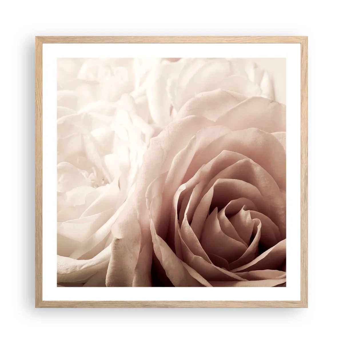 Poster in einem Rahmen aus heller Eiche - Im Herzen der Rose - 60x60 cm