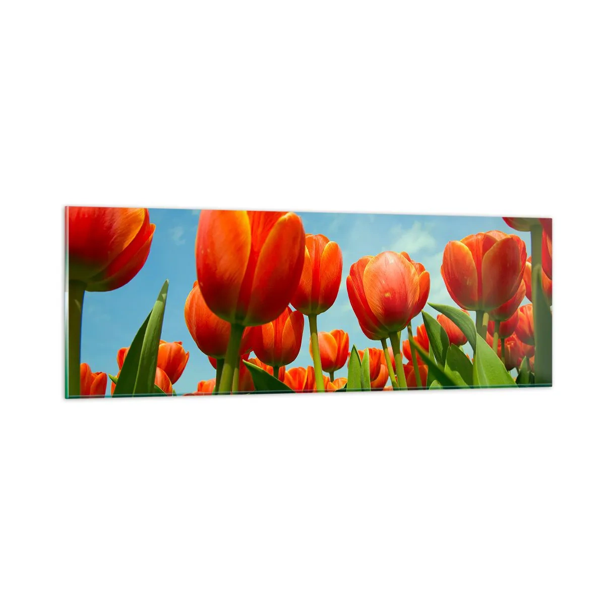 Glasbild - Bild auf glas - Außer dem blauen Himmel brauchen sie nichts in ihrem Leben - 90x30 cm