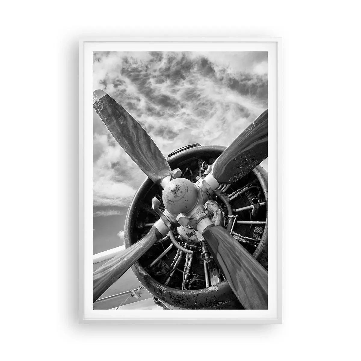 Poster in einem weißen Rahmen - Eroberer der Lüfte - 70x100 cm