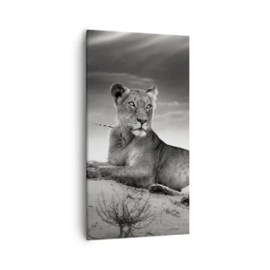 Bild auf Leinwand - Leinwandbild - Die Königin der Wüstenruhe - 55x100 cm
