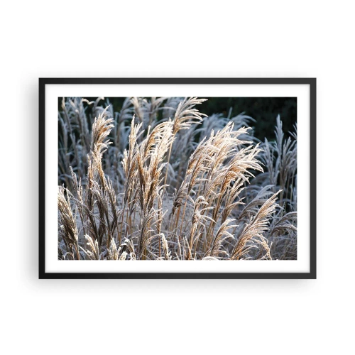 Poster in einem schwarzem Rahmen - Winterliche Grashalme mit Frost bedeckt vor einem dunkelgrünen Hintergrund - 70x50cm - Gekleidet mit Frost - Moderne Wanddekoration für Wohnzimmer und Schlafzimmer ARTTOR