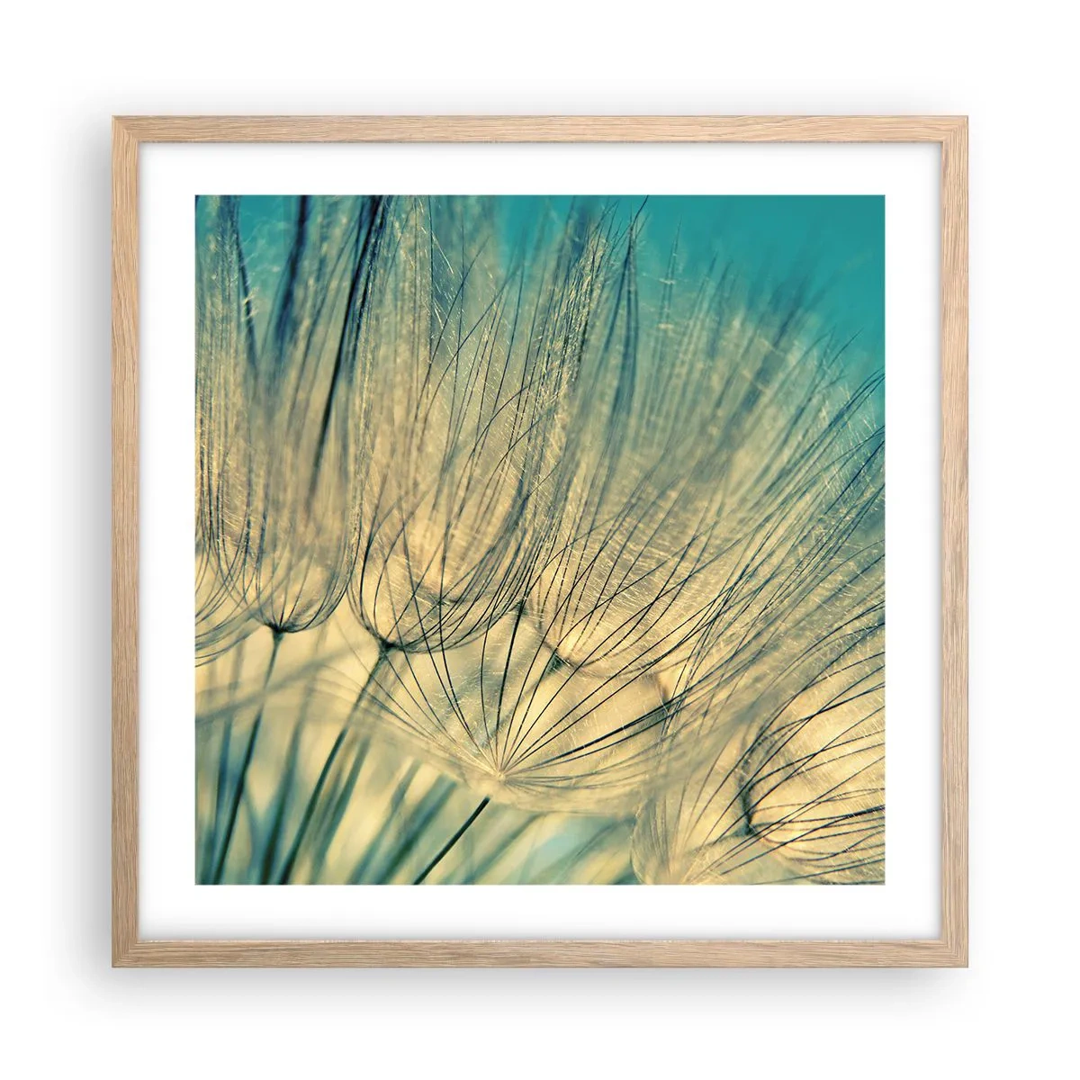 Poster in einem Rahmen aus heller Eiche - In Erwartung des Windes - 50x50 cm