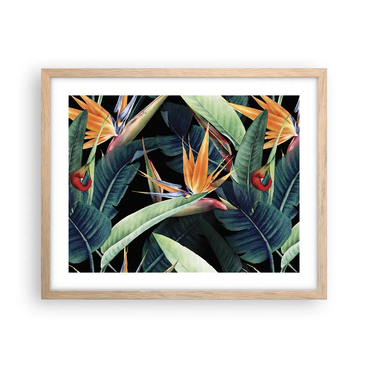 Poster in einem Rahmen aus heller Eiche - Flammende Blumen der Tropen - 50x40 cm