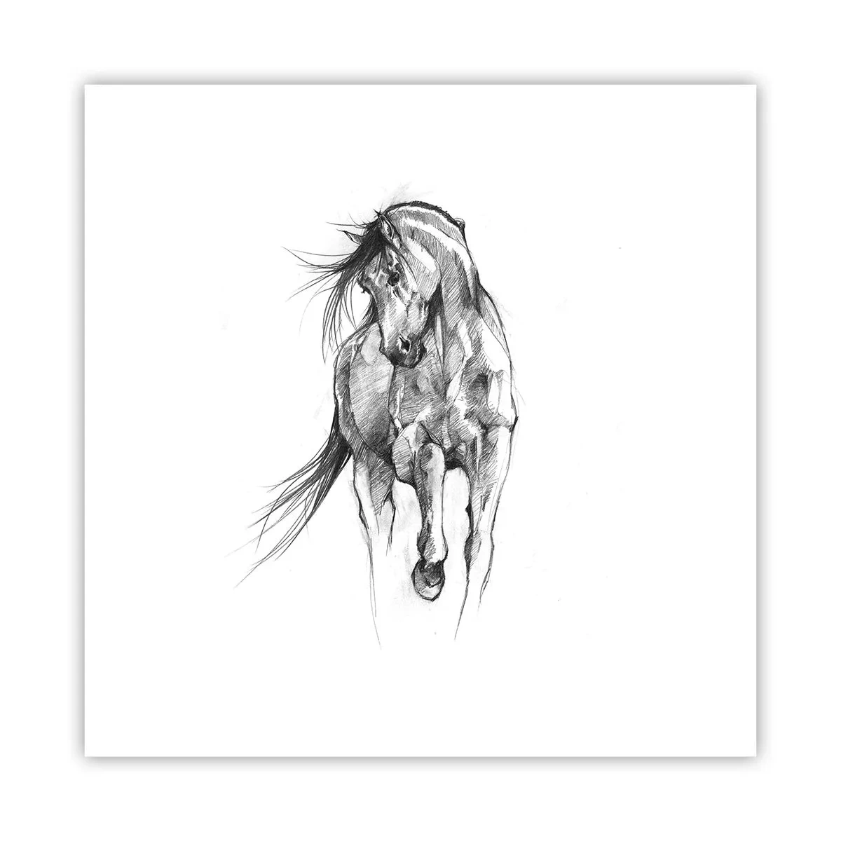 Poster - Im anmutigen Trab - 30x30 cm