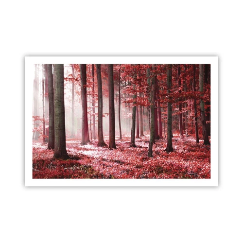 Poster - Rot ist genauso schön - 91x61 cm