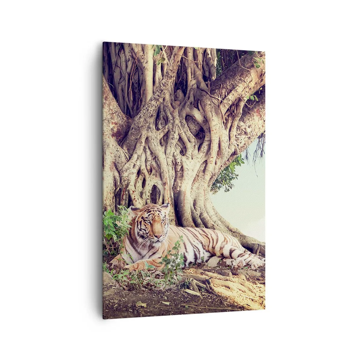 Bild auf Leinwand - Leinwandbild - Ein Tiger ruht unter einem ausladenden Baum - 80x120cm - Blick aus dem Buch Genesis - Moderne Wanddekoration für Wohnzimmer und Schlafzimmer ARTTOR