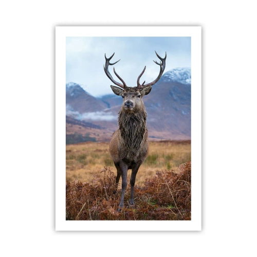 Poster - Ein stolzer Hirsch vor einer Bergkulisse - 50x70cm - Auf eigenem Land - Moderne Wanddekoration für Wohnzimmer und Schlafzimmer ARTTOR