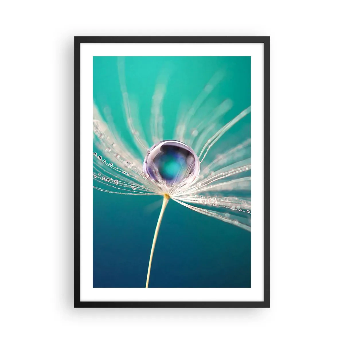Poster in einem schwarzem Rahmen - Makrofotografie eines Wassertropfens auf einem Löwenzahn - 50x70cm - Mystischer Moment - Moderne Wanddekoration für Wohnzimmer und Schlafzimmer ARTTOR
