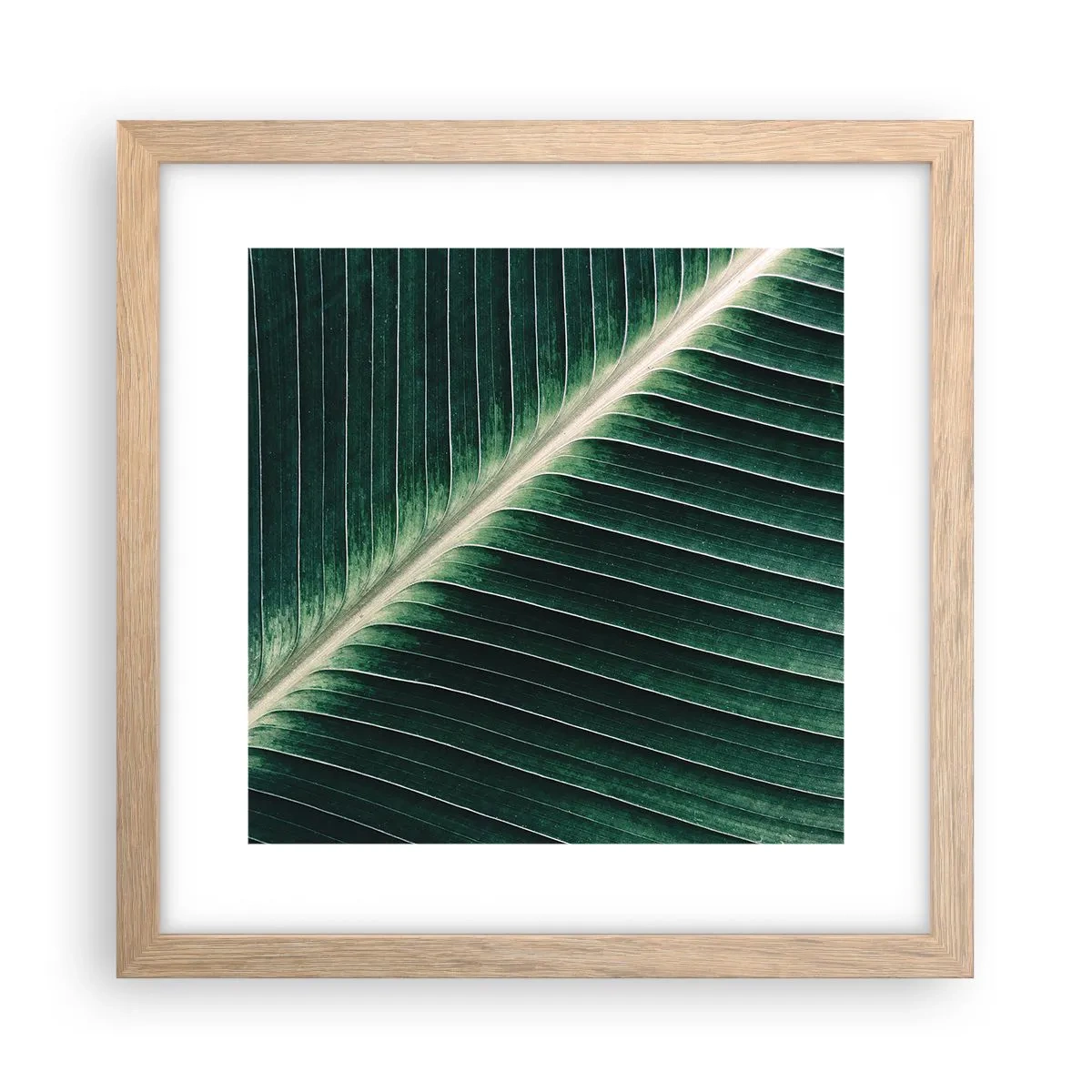 Poster in einem Rahmen aus heller Eiche - Rhythmus der Natur - 30x30 cm