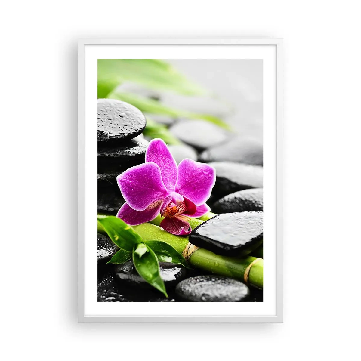 Poster in einem weißen Rahmen - In ruhiger Balance - 50x70 cm